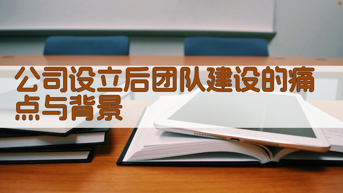 公司设立后团队建设的痛点与背景 图1