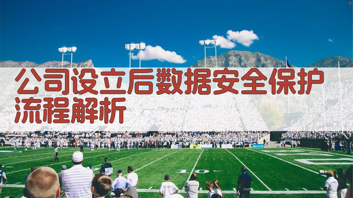 公司设立后数据安全保护流程解析 图1