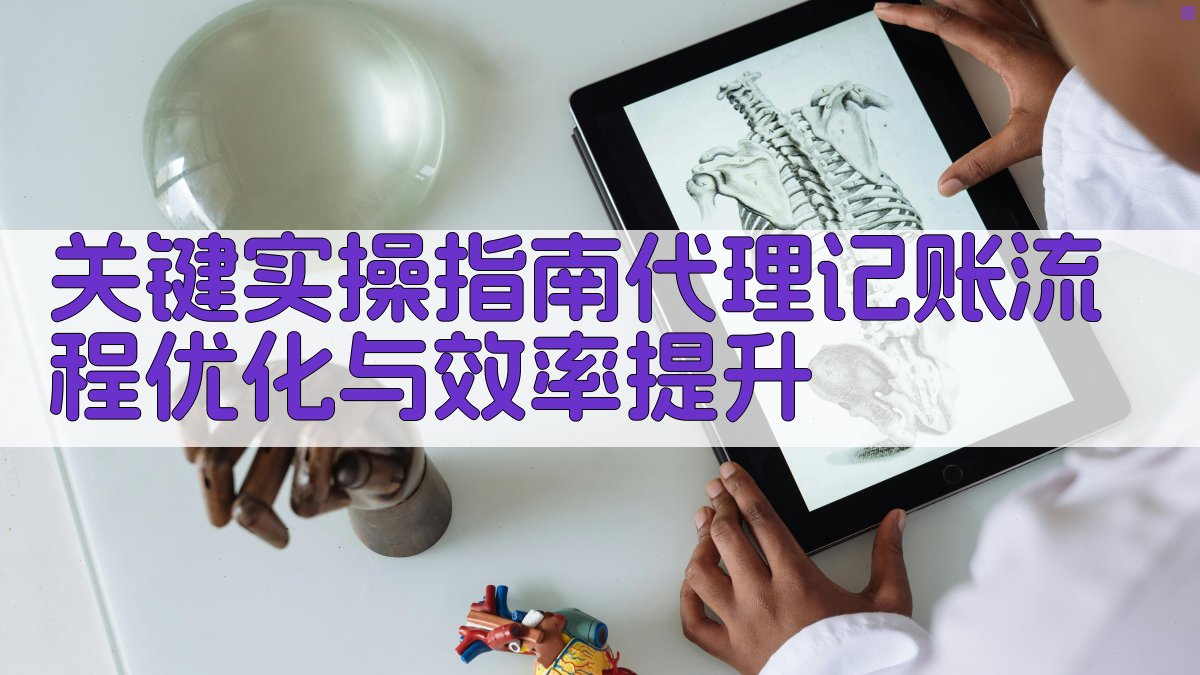 关键实操指南：代理记账流程优化与效率提升 图2