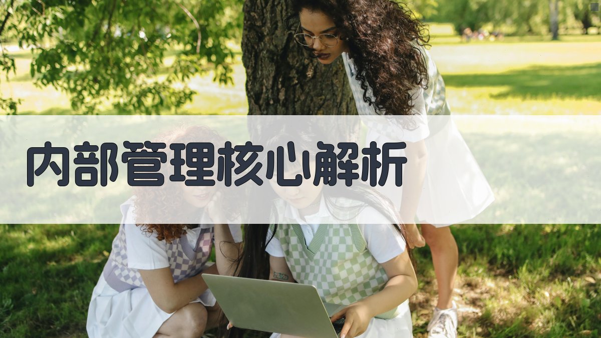 内部管理核心解析 图2