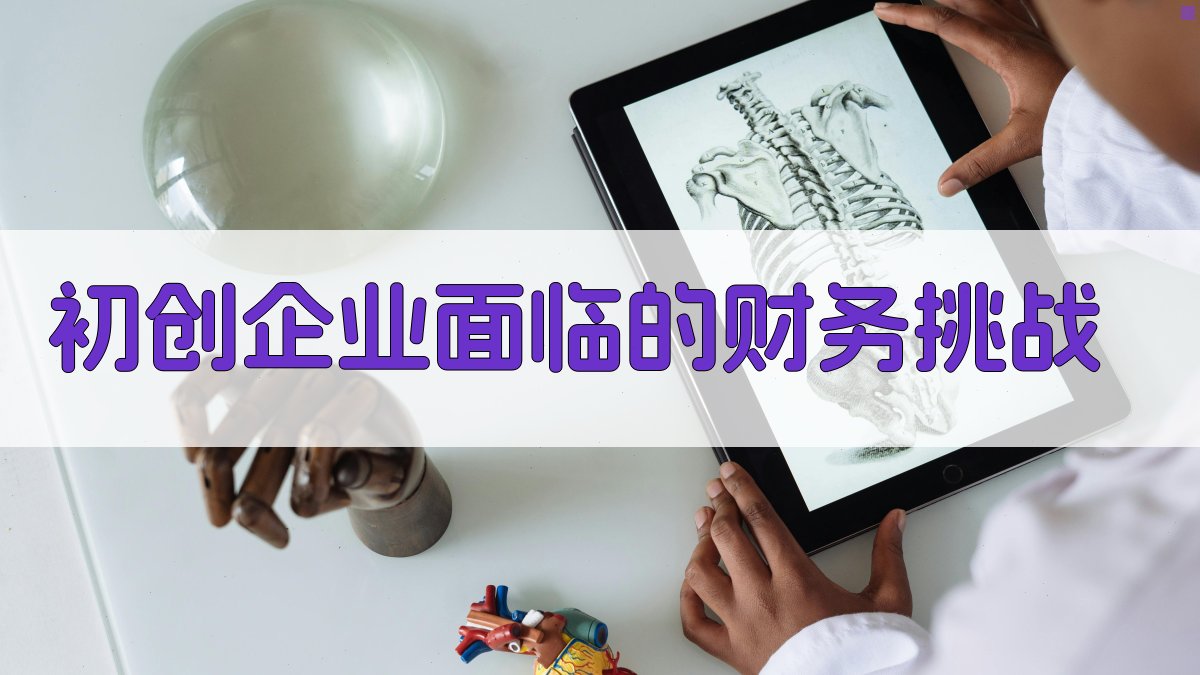 初创企业面临的财务挑战 图1