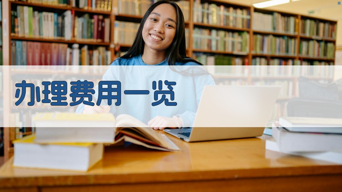 办理费用一览 图2