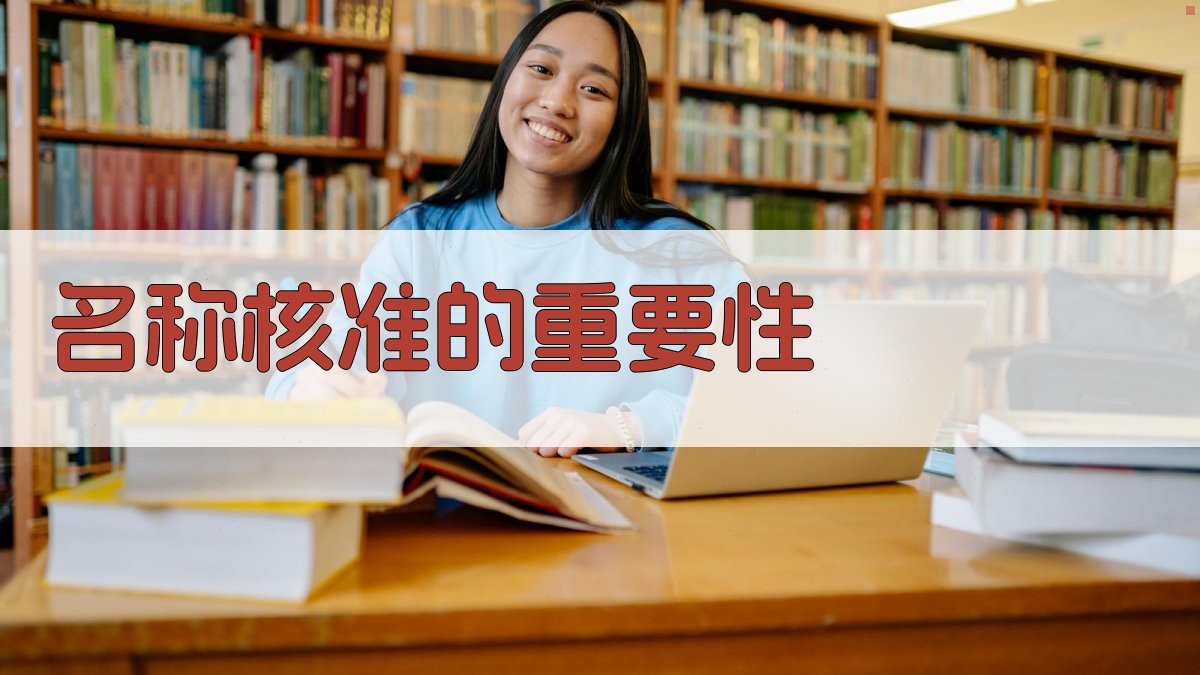 名称核准的重要性 图1