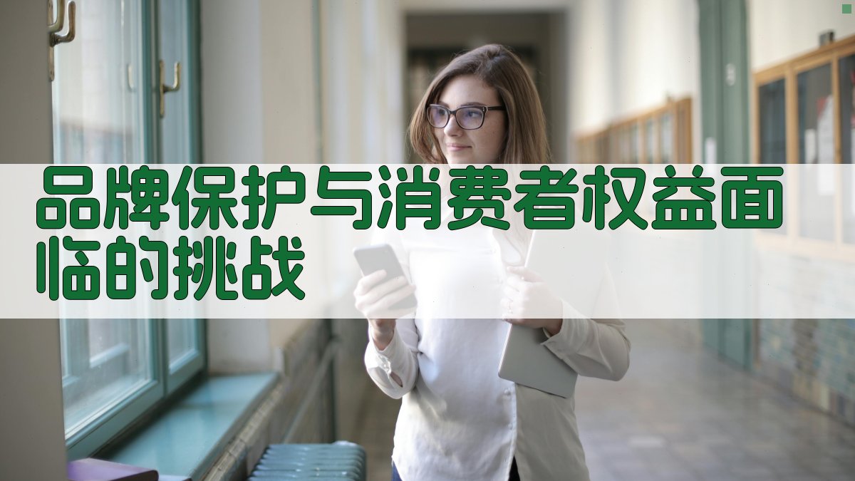 品牌保护与消费者权益面临的挑战 图1