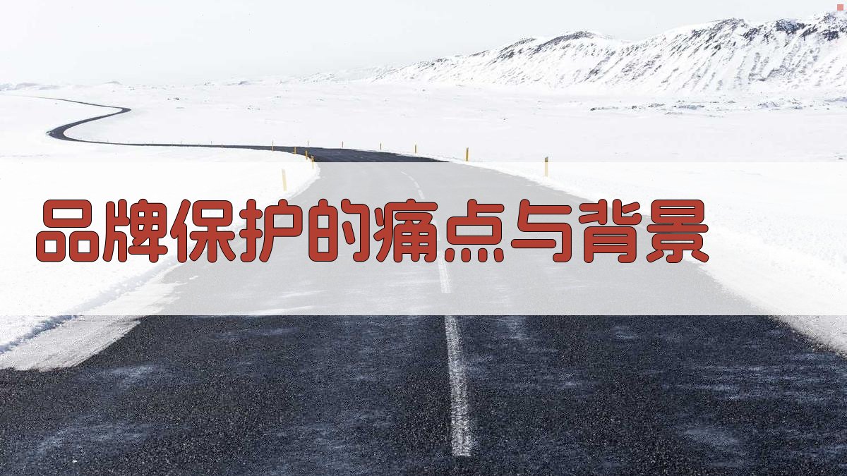 品牌保护的痛点与背景 图1