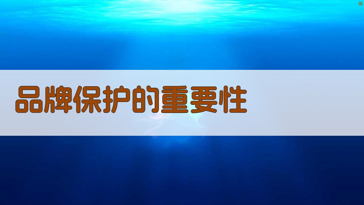品牌保护的重要性 图1