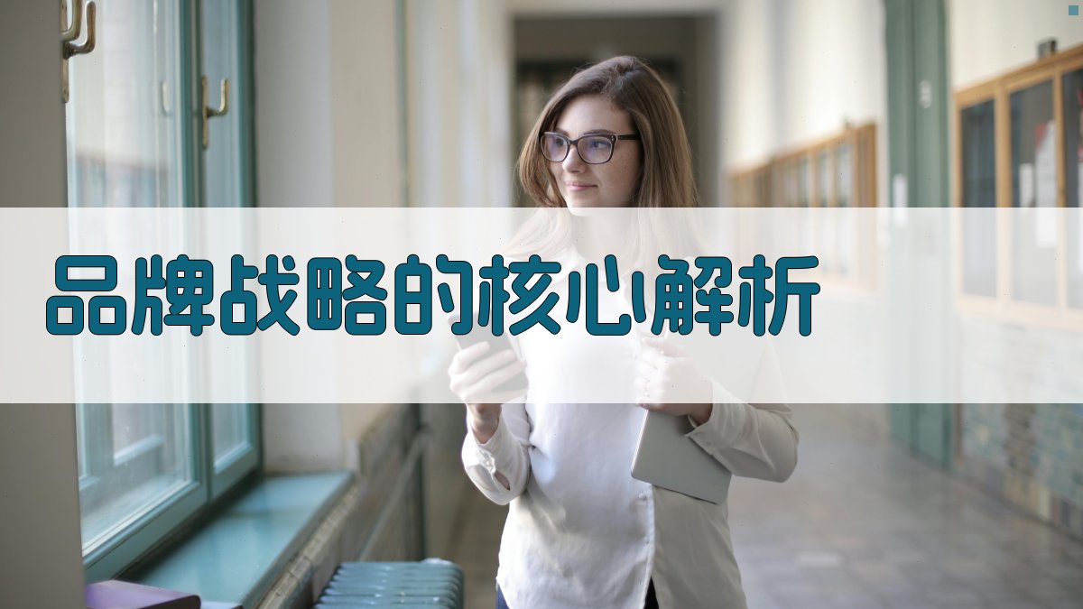 品牌战略的核心解析 图1