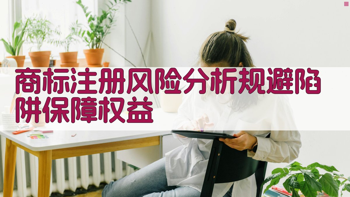 商标注册风险分析规避陷阱，保障权益 图2