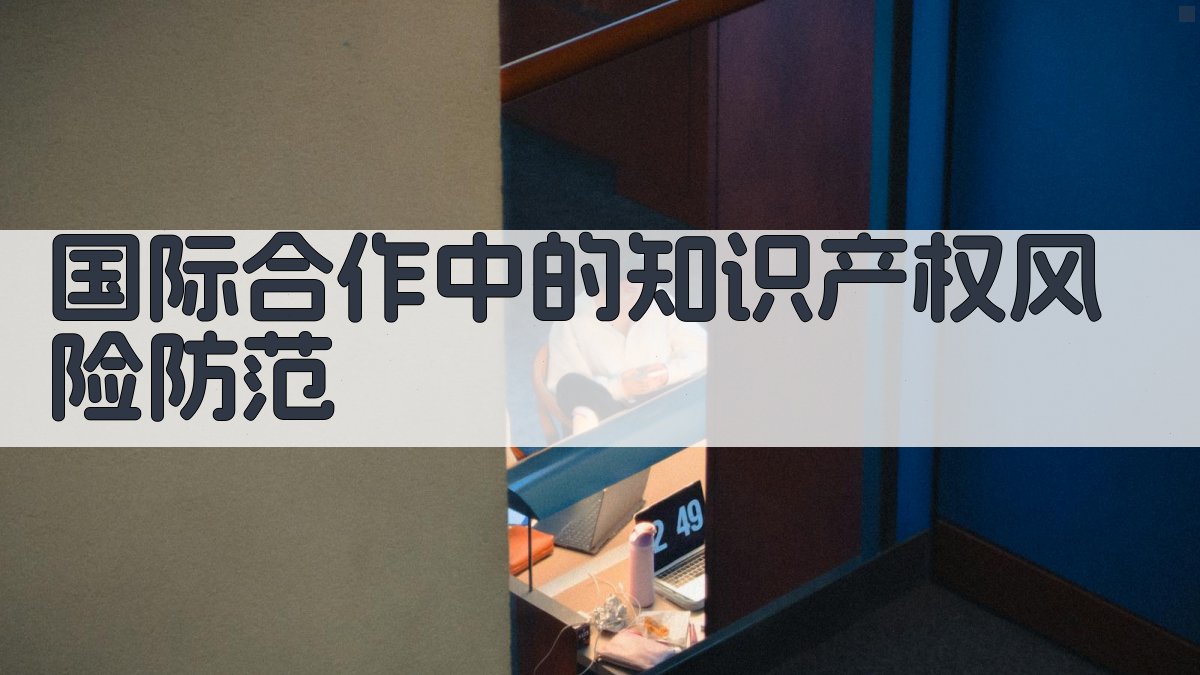 国际合作中的知识产权风险防范 图2