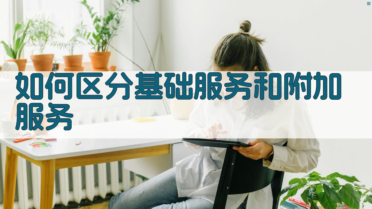 如何区分基础服务和附加服务 图2