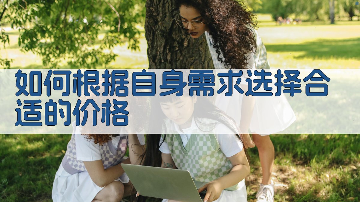 如何根据自身需求选择合适的价格 图3