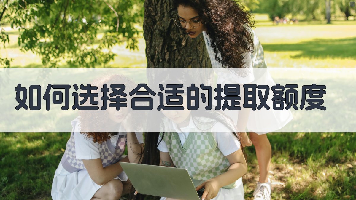 如何选择合适的提取额度 图3