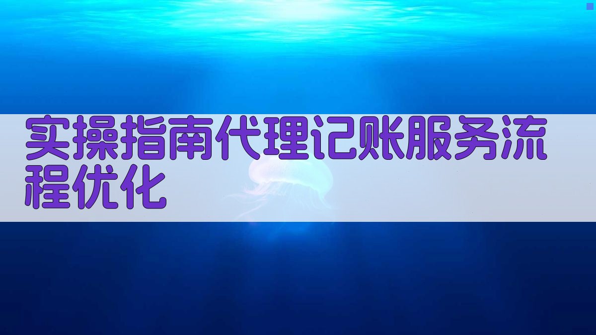 实操指南：代理记账服务流程优化 图2