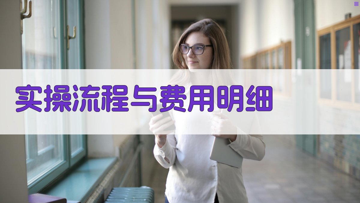 实操流程与费用明细 图2