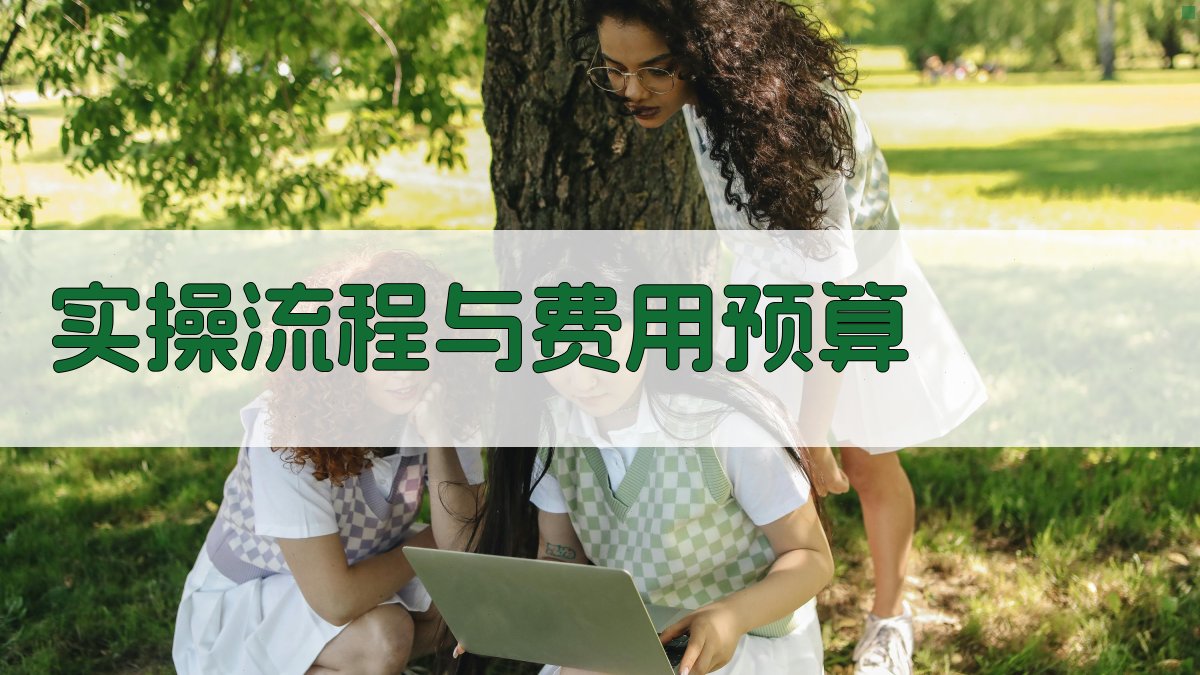 实操流程与费用预算 图3