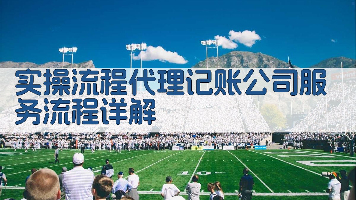 实操流程：代理记账公司服务流程详解 图3