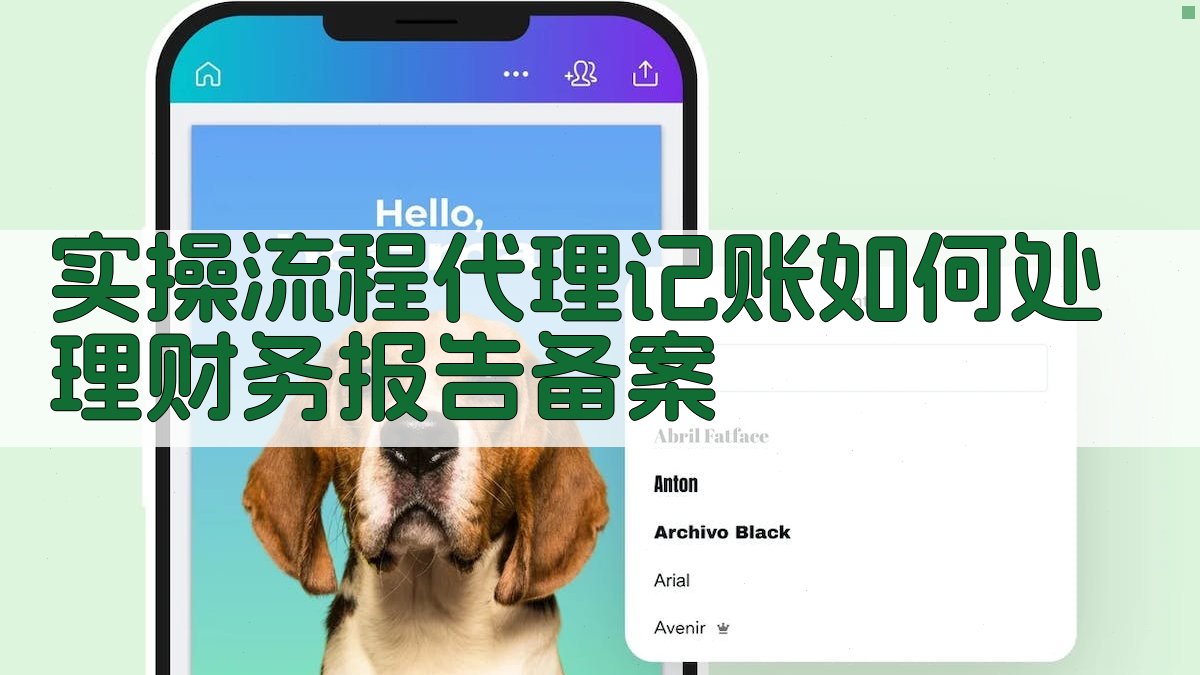 实操流程：代理记账如何处理财务报告备案 图3