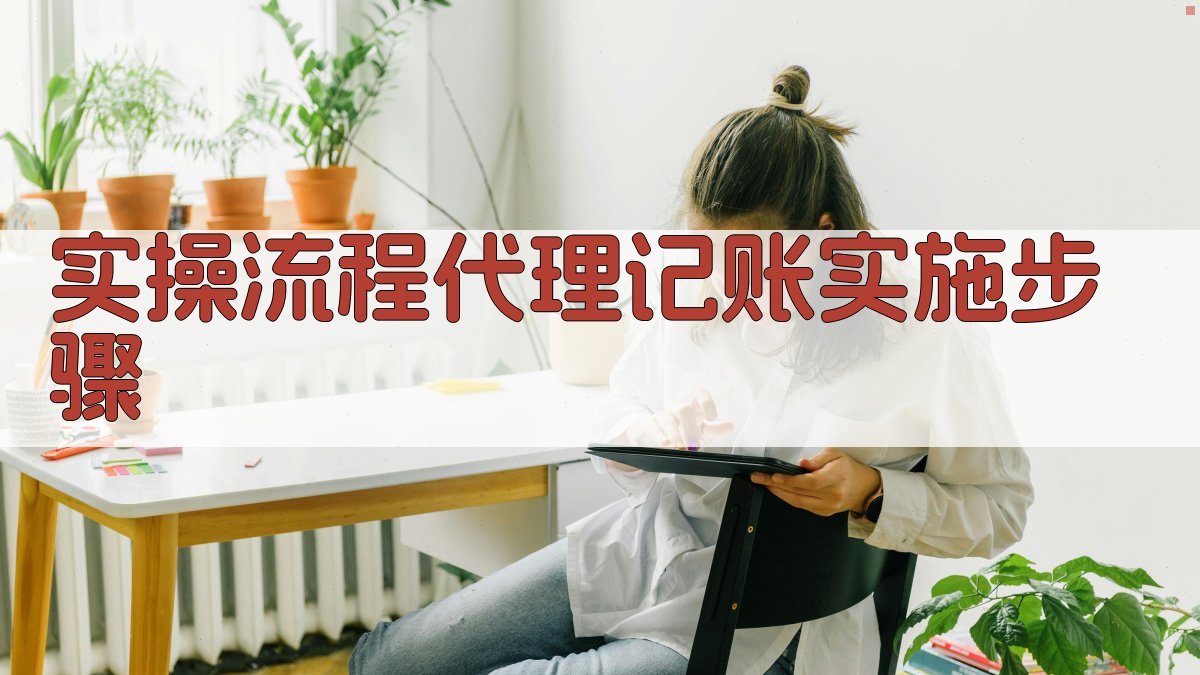 实操流程：代理记账实施步骤 图3