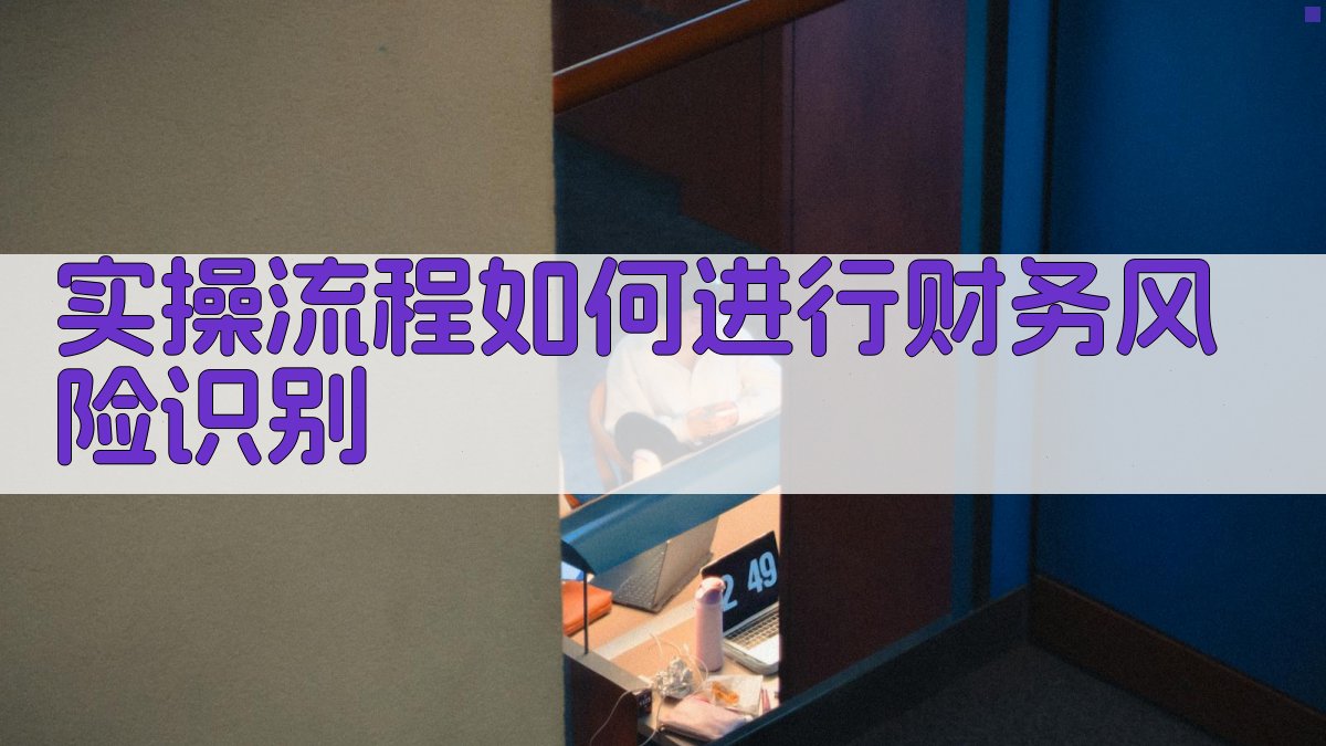 实操流程：如何进行财务风险识别 图2