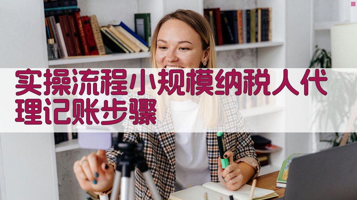 实操流程：小规模纳税人代理记账步骤 图3