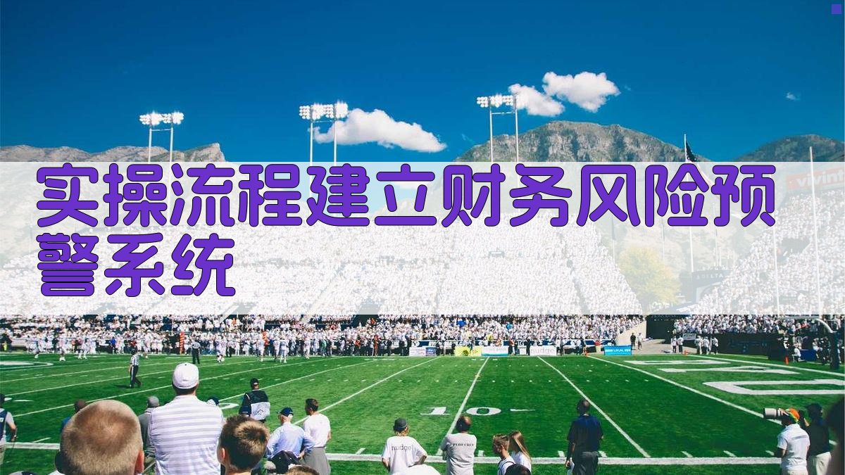 实操流程：建立财务风险预警系统 图2
