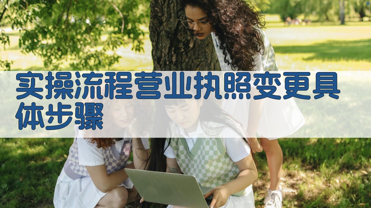 (实操流程：营业执照变更具体步骤) 图3