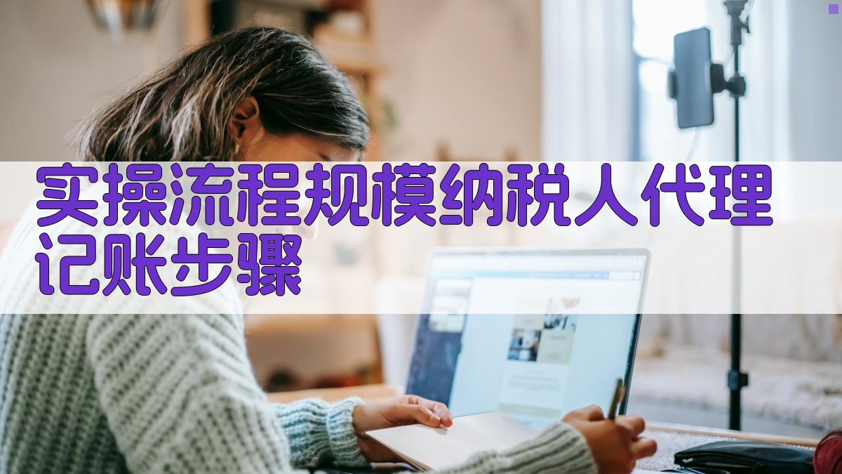 实操流程：规模纳税人代理记账步骤 图3