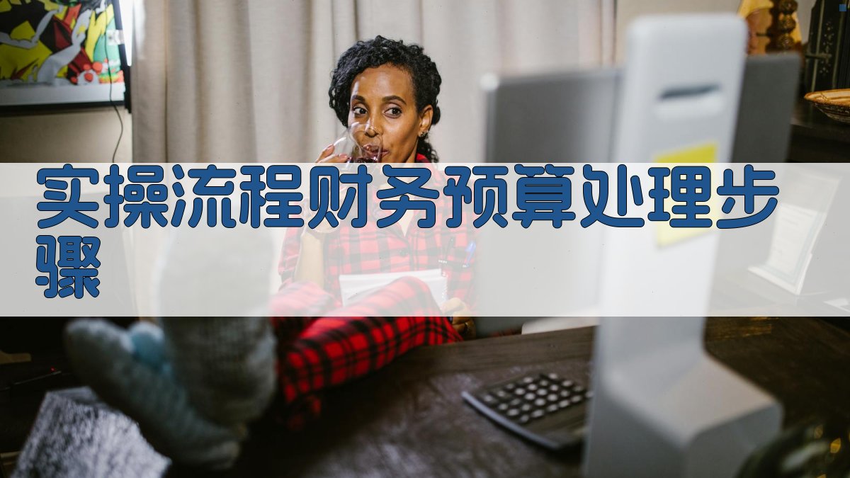 实操流程：财务预算处理步骤 图2