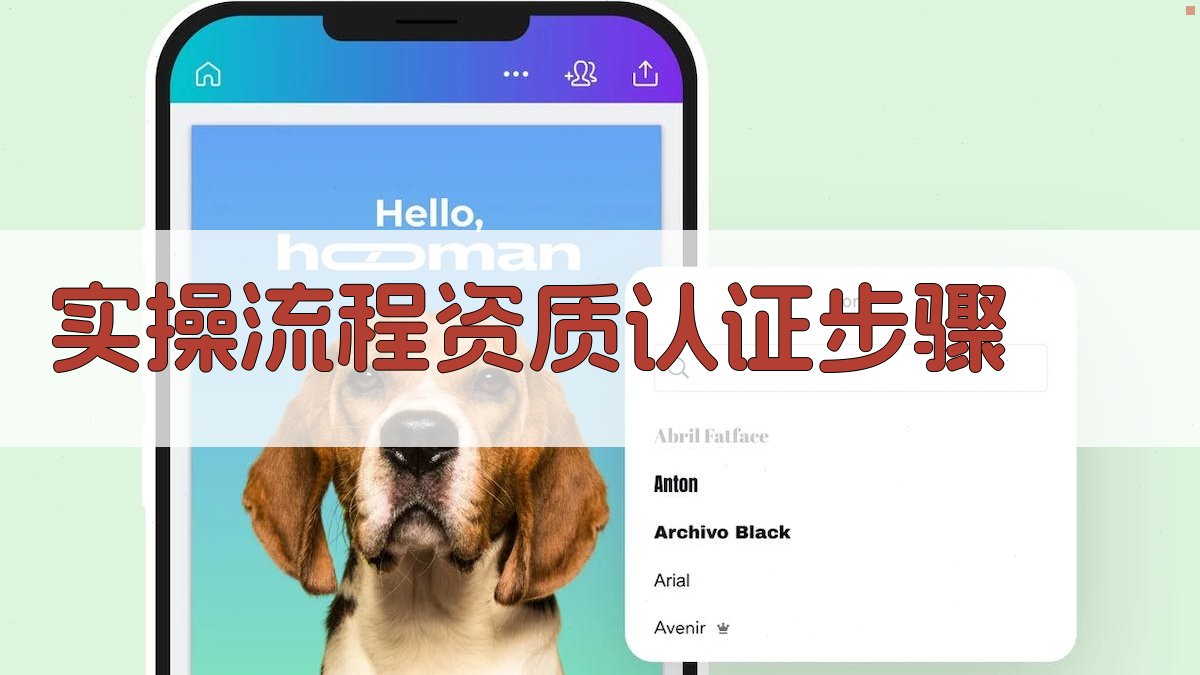 实操流程：资质认证步骤 图2