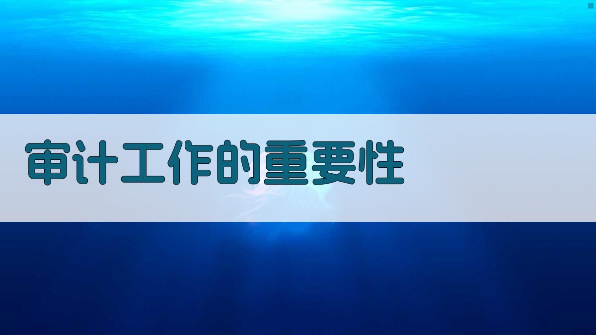 审计工作的重要性 图1