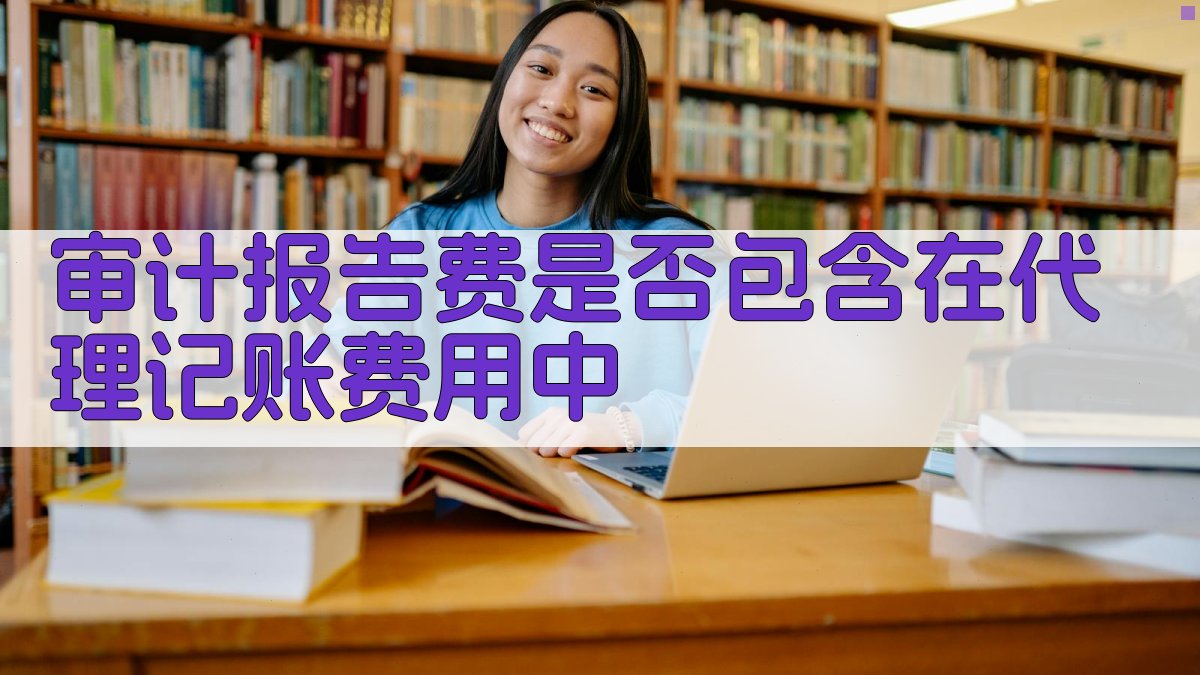 审计报告费是否包含在代理记账费用中 图2