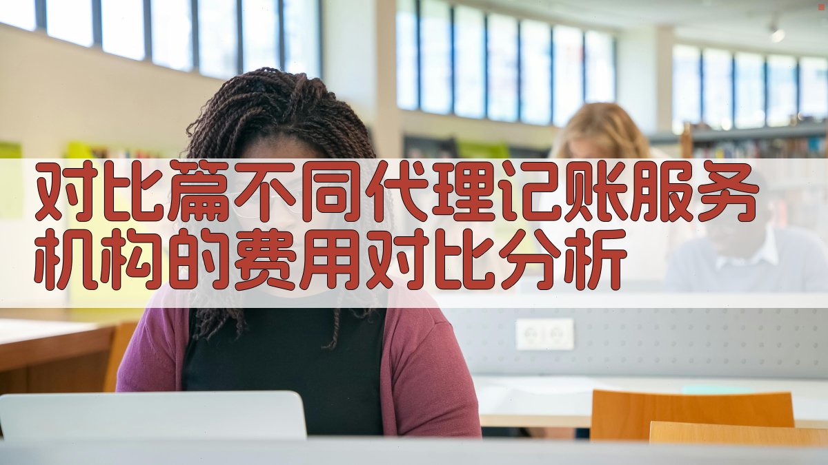 对比篇不同代理记账服务机构的费用对比分析 图2