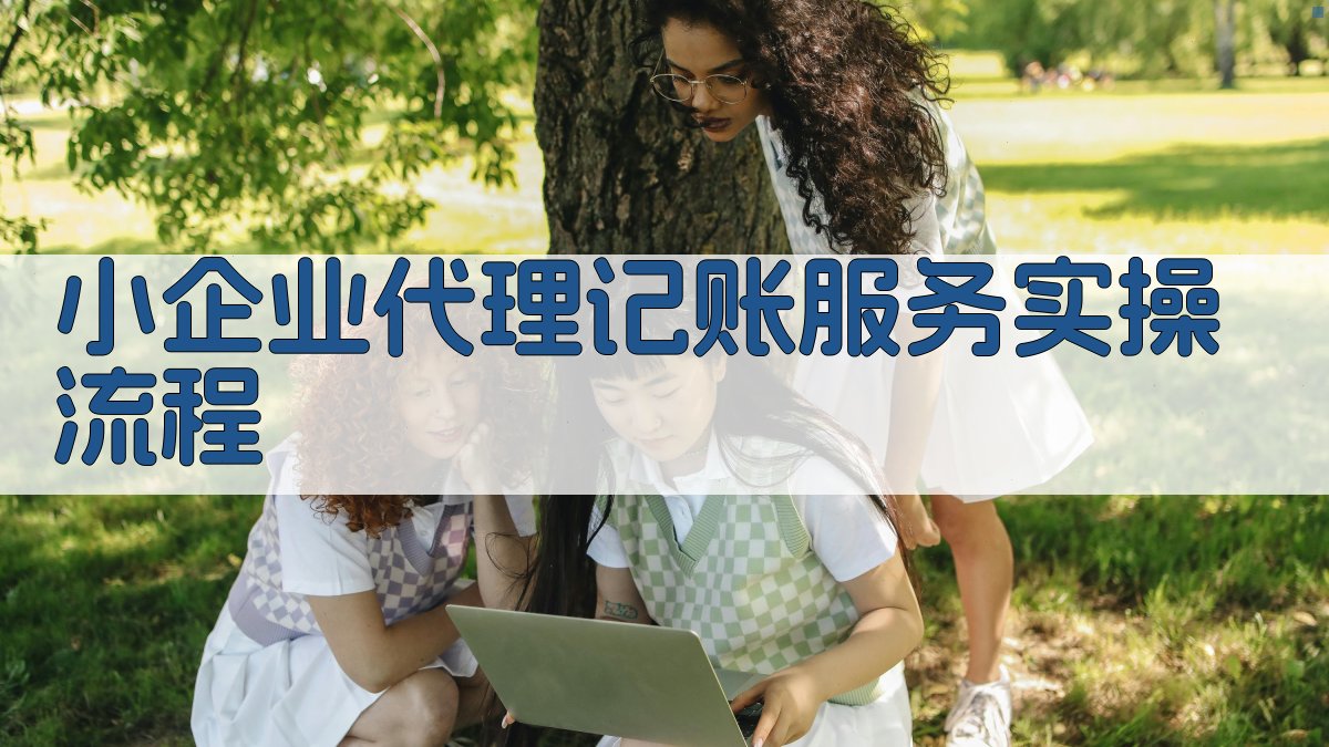 小企业代理记账服务实操流程 图2