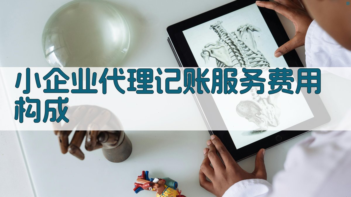 小企业代理记账服务费用构成 图1