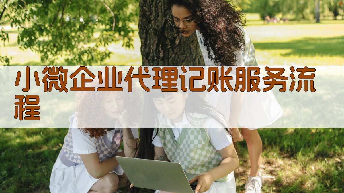 小微企业代理记账服务流程 图3