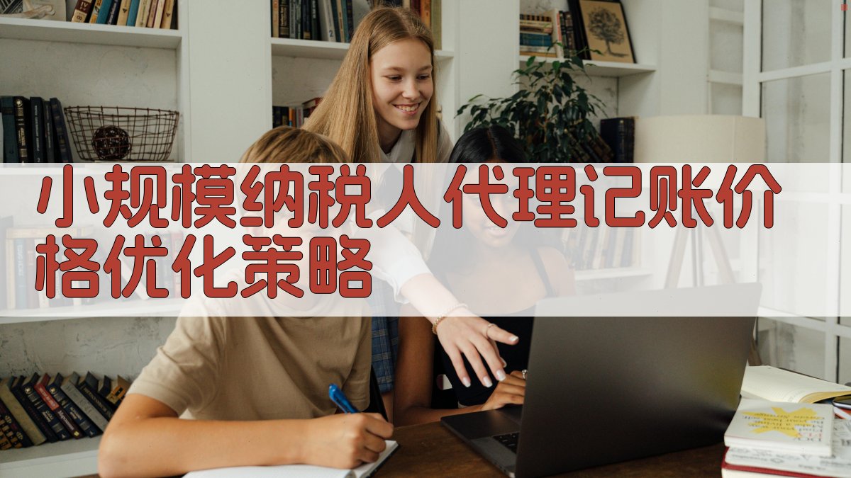 小规模纳税人代理记账价格优化策略 图3