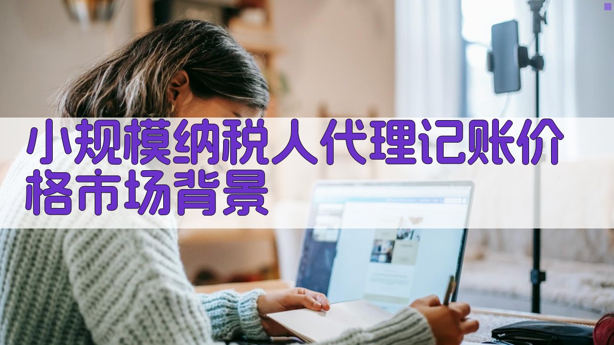 小规模纳税人代理记账价格市场背景 图1