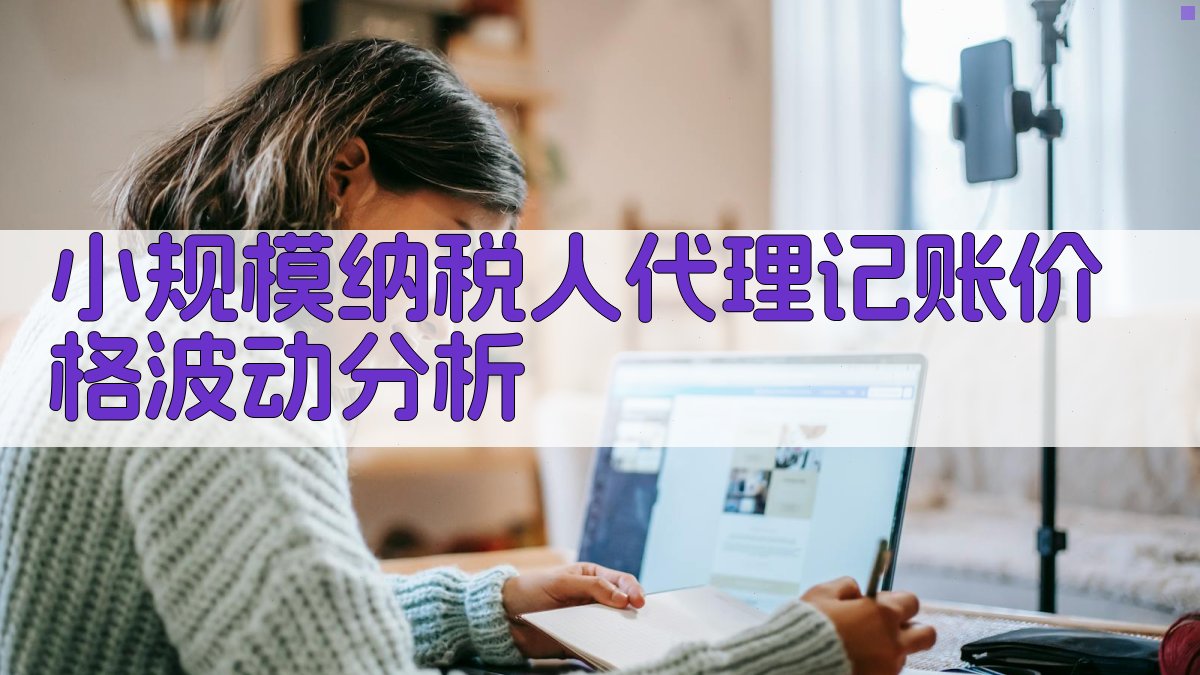 小规模纳税人代理记账价格波动分析 图2