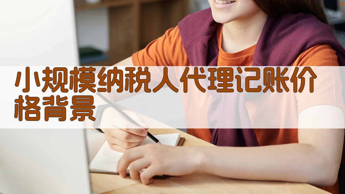 小规模纳税人代理记账价格背景 图1