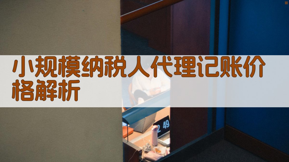 小规模纳税人代理记账价格解析 图1