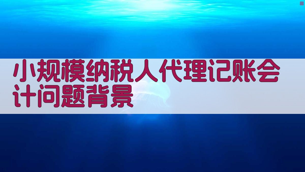 小规模纳税人代理记账会计问题背景 图1