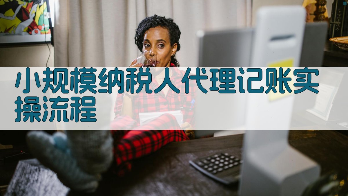 小规模纳税人代理记账实操流程 图1