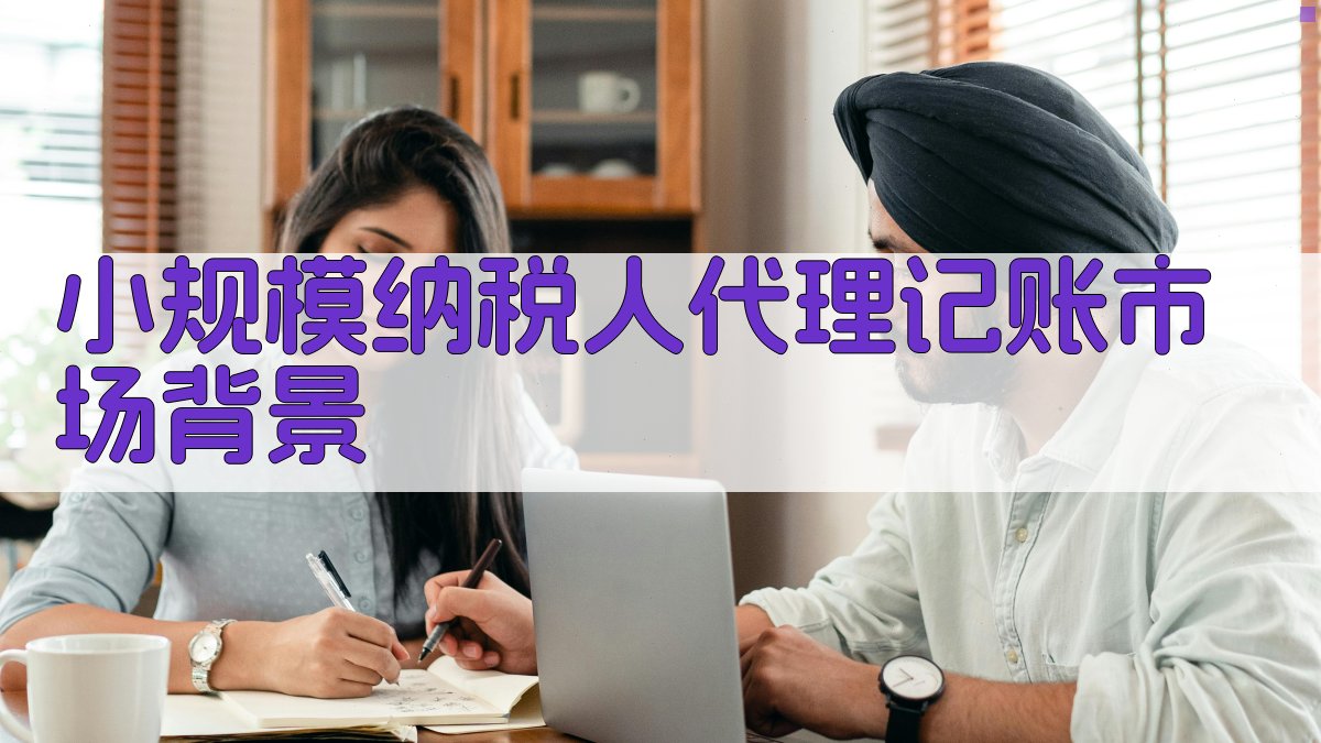 小规模纳税人代理记账市场背景 图1