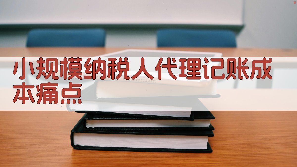 小规模纳税人代理记账成本痛点 图1