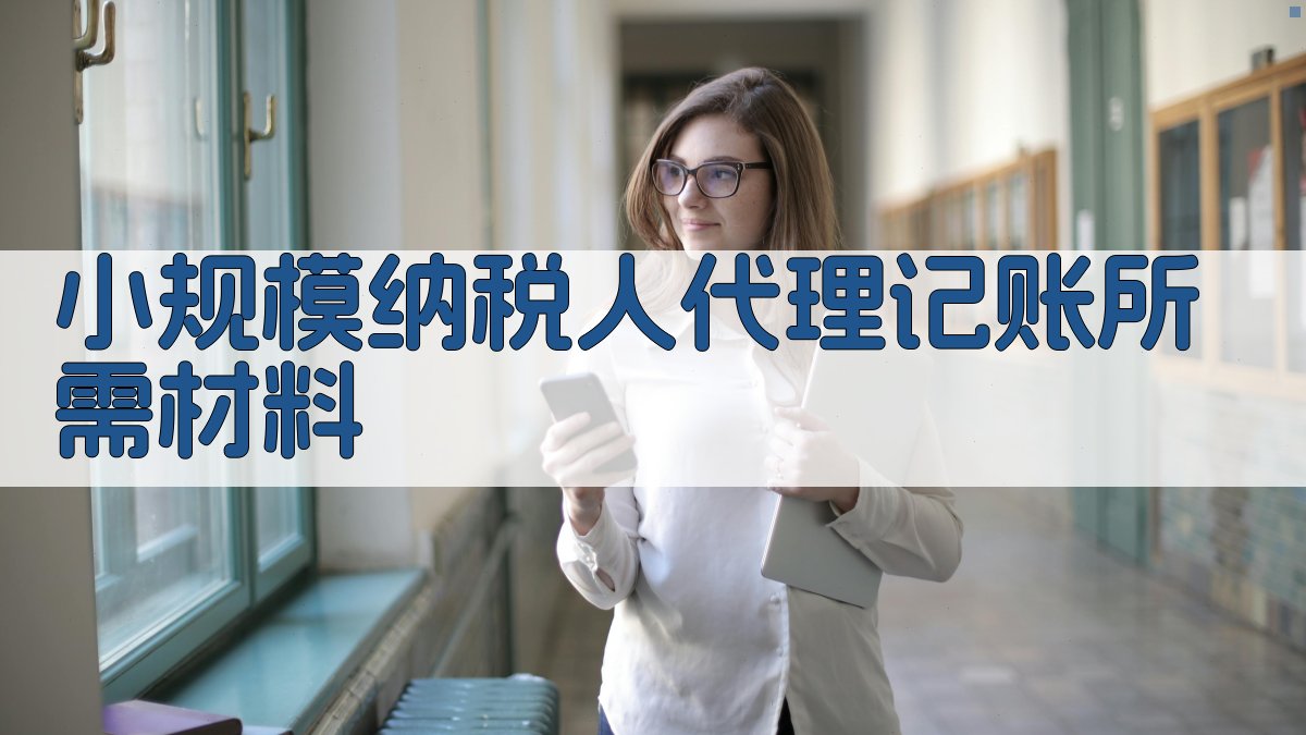 小规模纳税人代理记账所需材料 图2