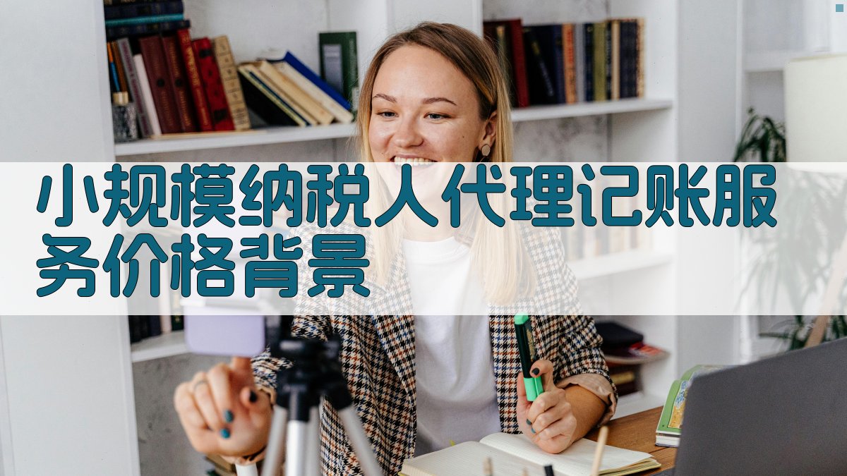 小规模纳税人代理记账服务价格背景 图1