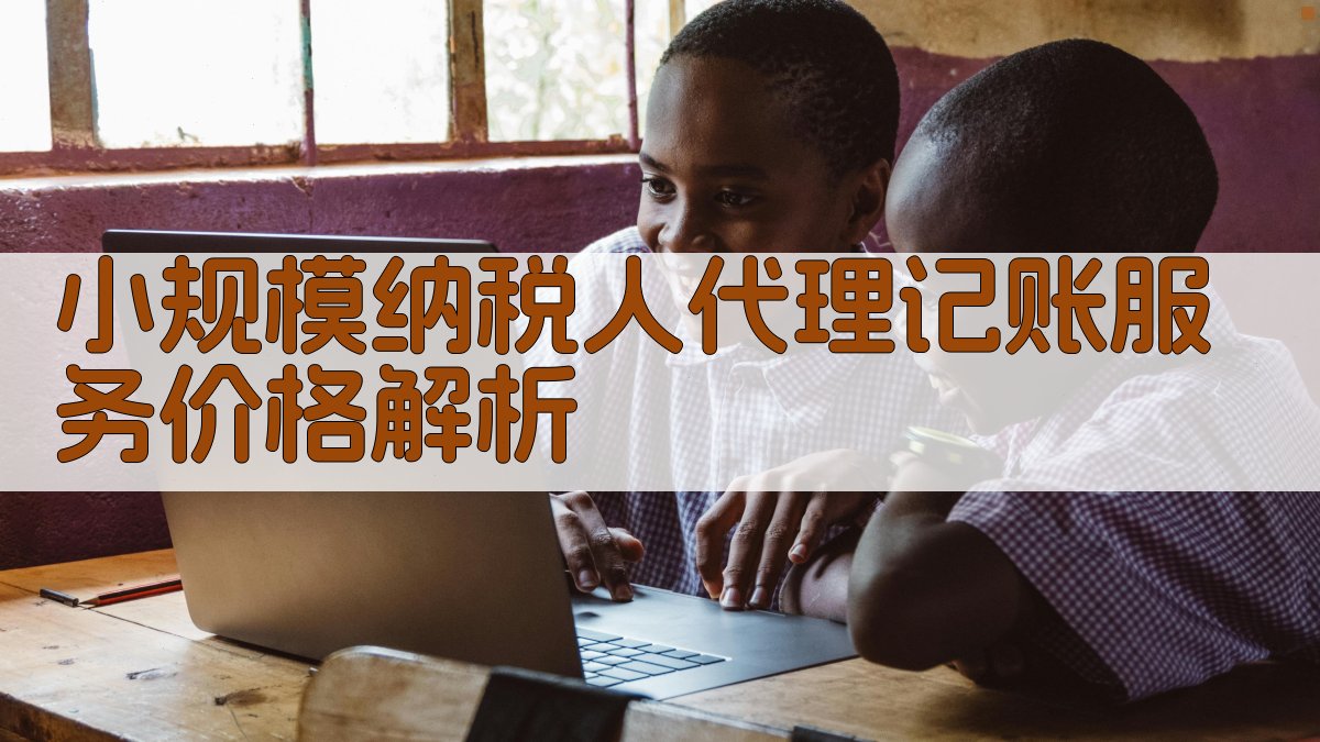 小规模纳税人代理记账服务价格解析 图1