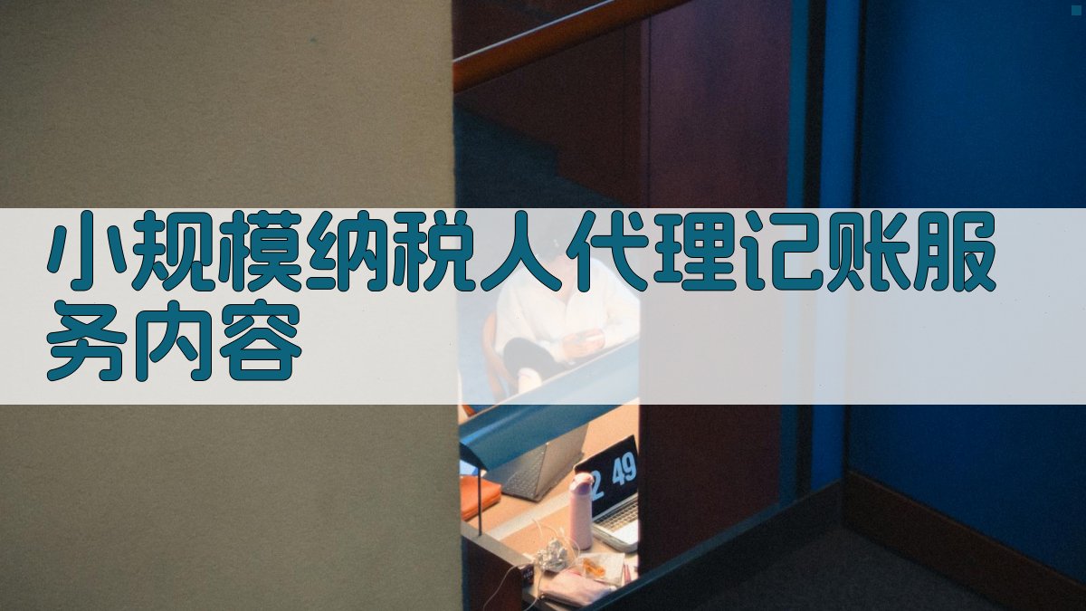 小规模纳税人代理记账服务内容 图2