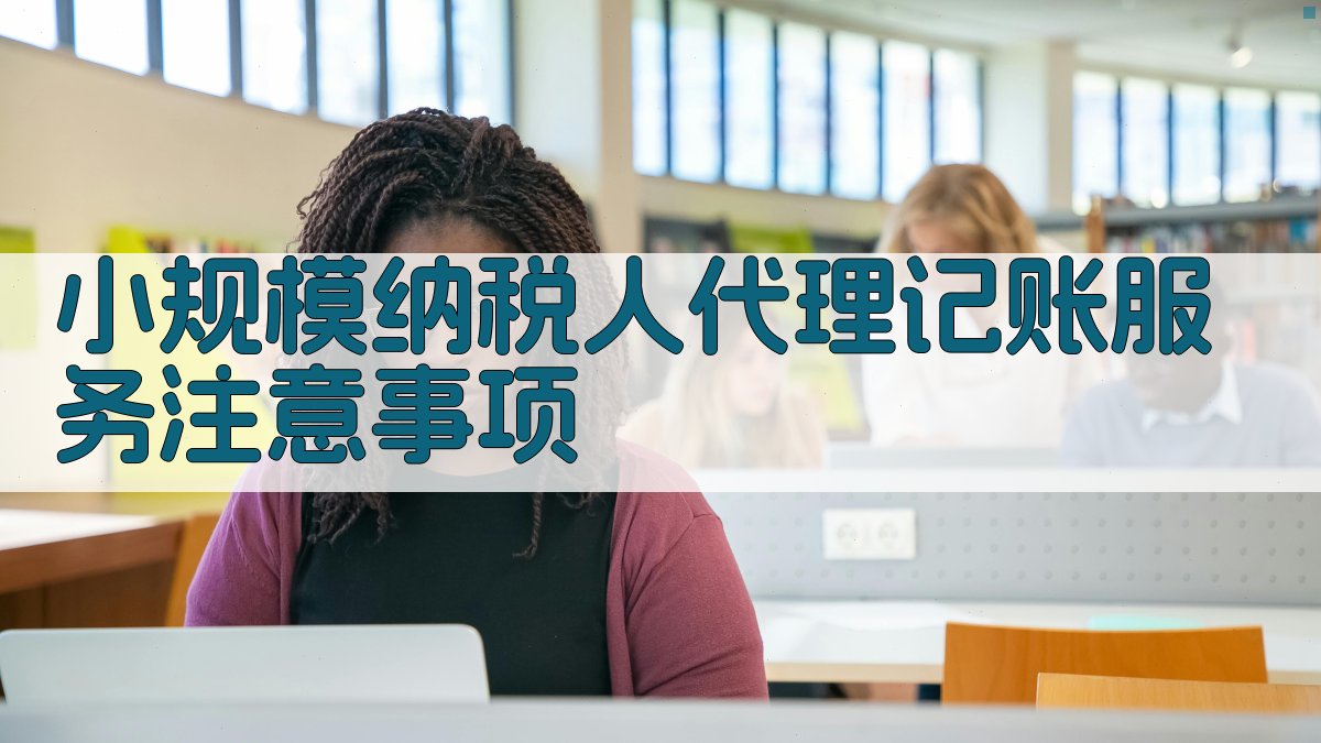小规模纳税人代理记账服务注意事项 图2