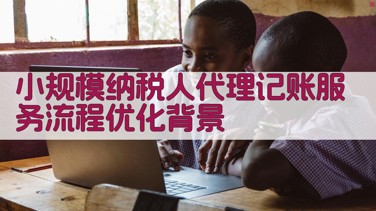 小规模纳税人代理记账服务流程优化背景 图1
